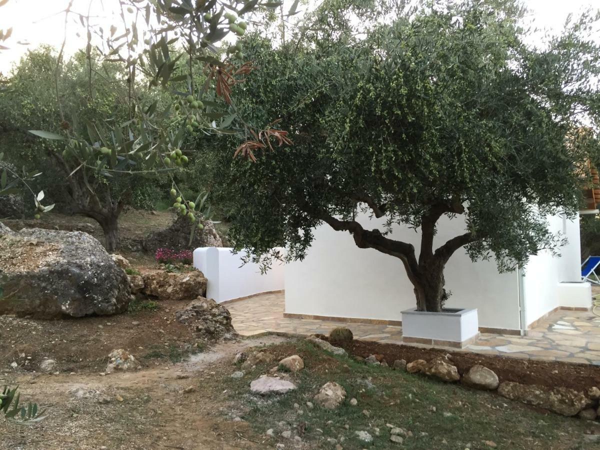 Ferienhaus Olive Garden Kyparissia Exterior foto