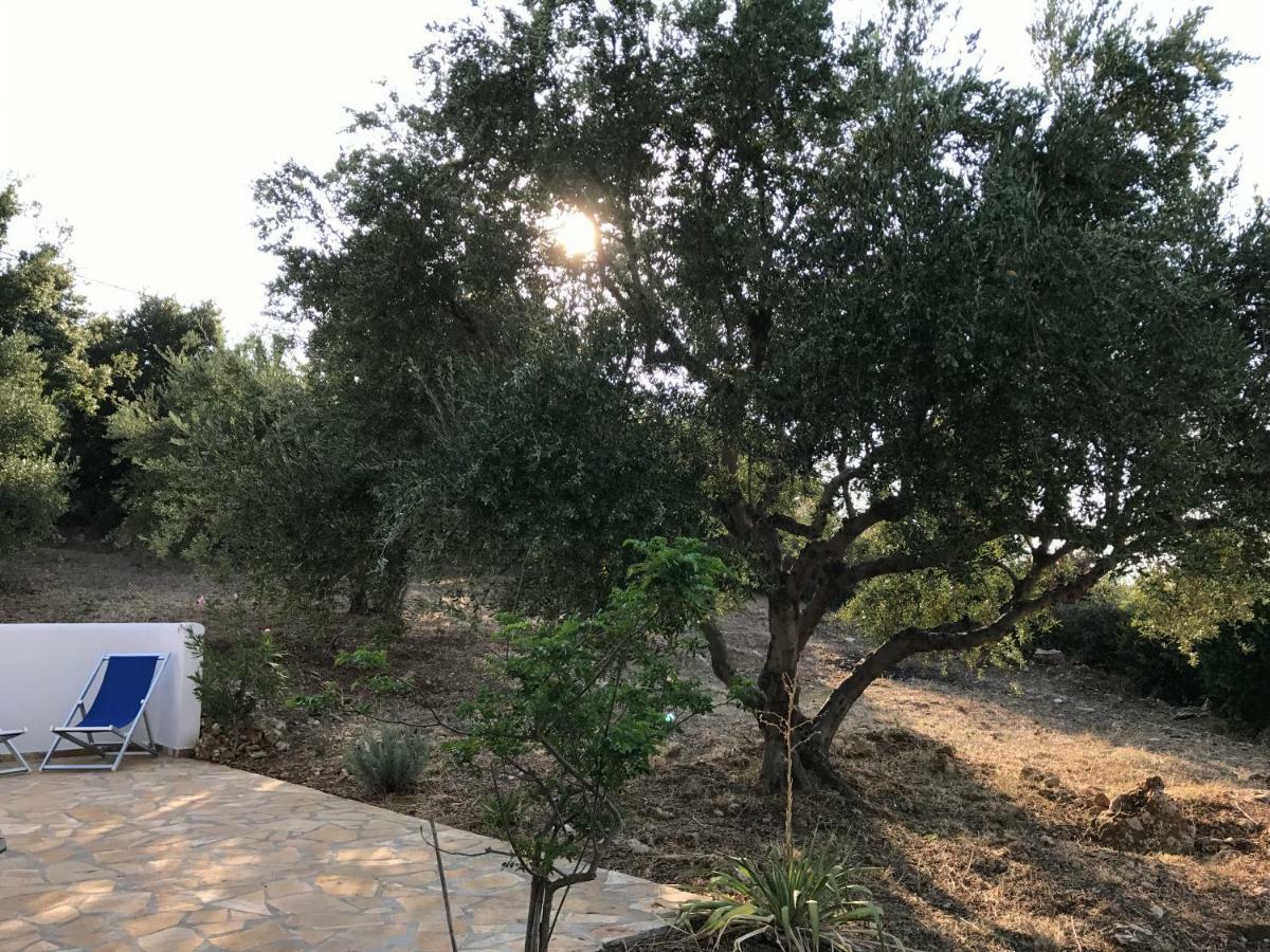 Ferienhaus Olive Garden Kyparissia Exterior foto